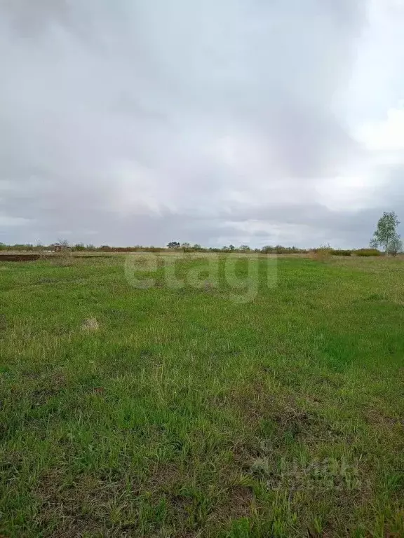 Участок в Амурская область, с. Ивановка 2 (478.0 сот.) - Фото 1