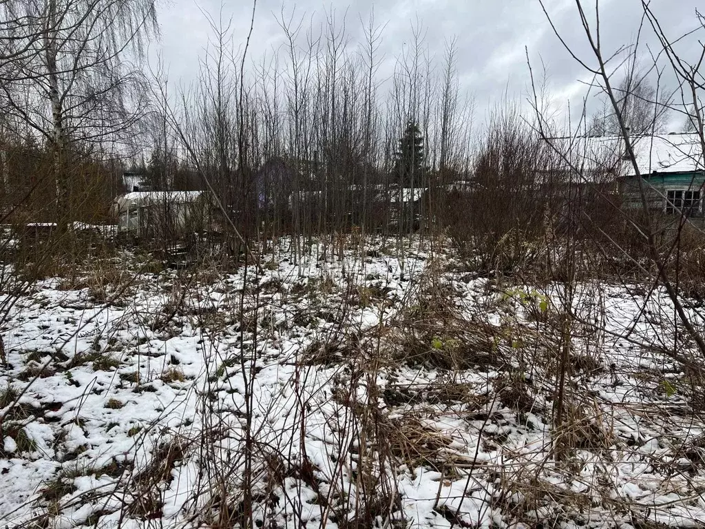 Участок в Санкт-Петербург Имени Я.М. Свердлова СНТ, ул. Северная (4.82 ... - Фото 2