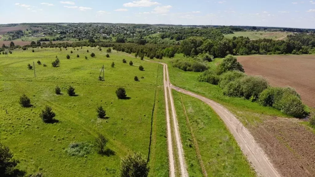 Участок в Тульская область, Заокский район, Малаховское с/пос, д. ... - Фото 2