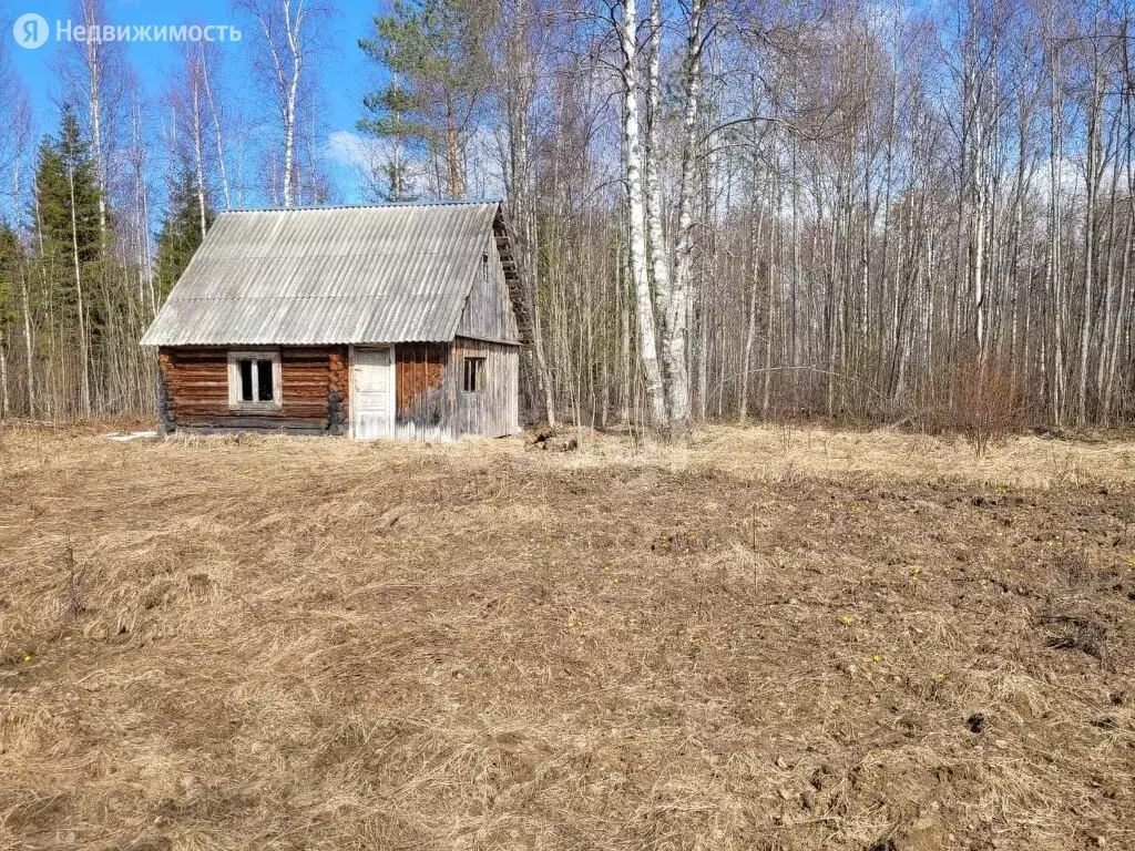 Недвижимость липин бор. Липин бор дом отдыха. Недвижимость липин бор. Липин бор деревня турзино. Недвижимость липин бор.