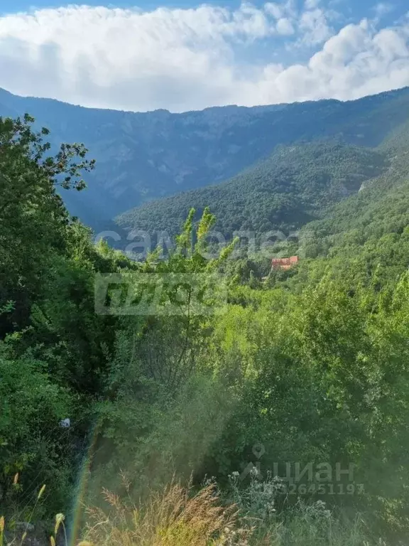 Участок в Крым, Ялта наб. Имени В.И. Ленина (160.0 сот.) - Фото 2