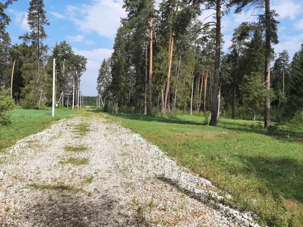 Участок в Московская область, Черноголовка городской округ, с. ... - Фото 1