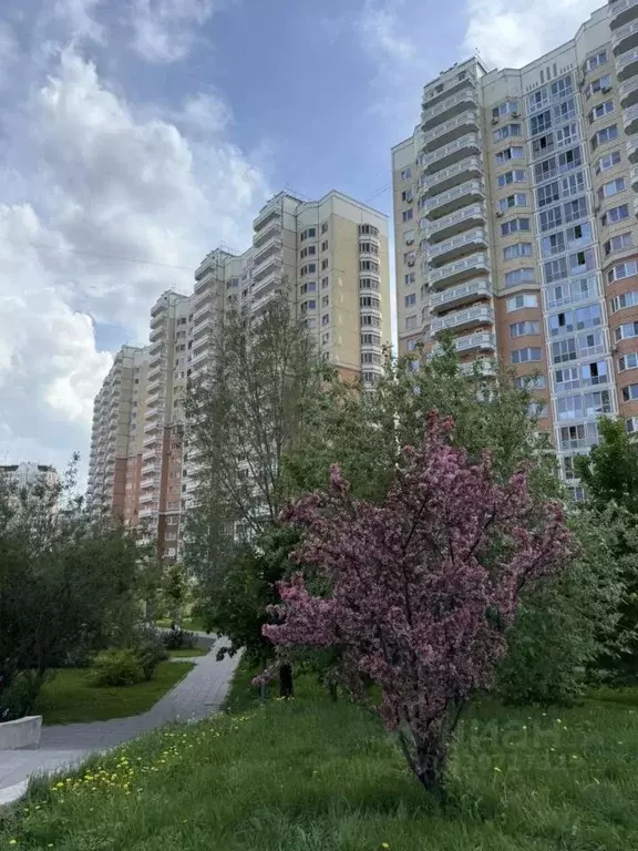 2-к кв. Москва Рождественская ул., 31 (50.0 м) - Фото 2