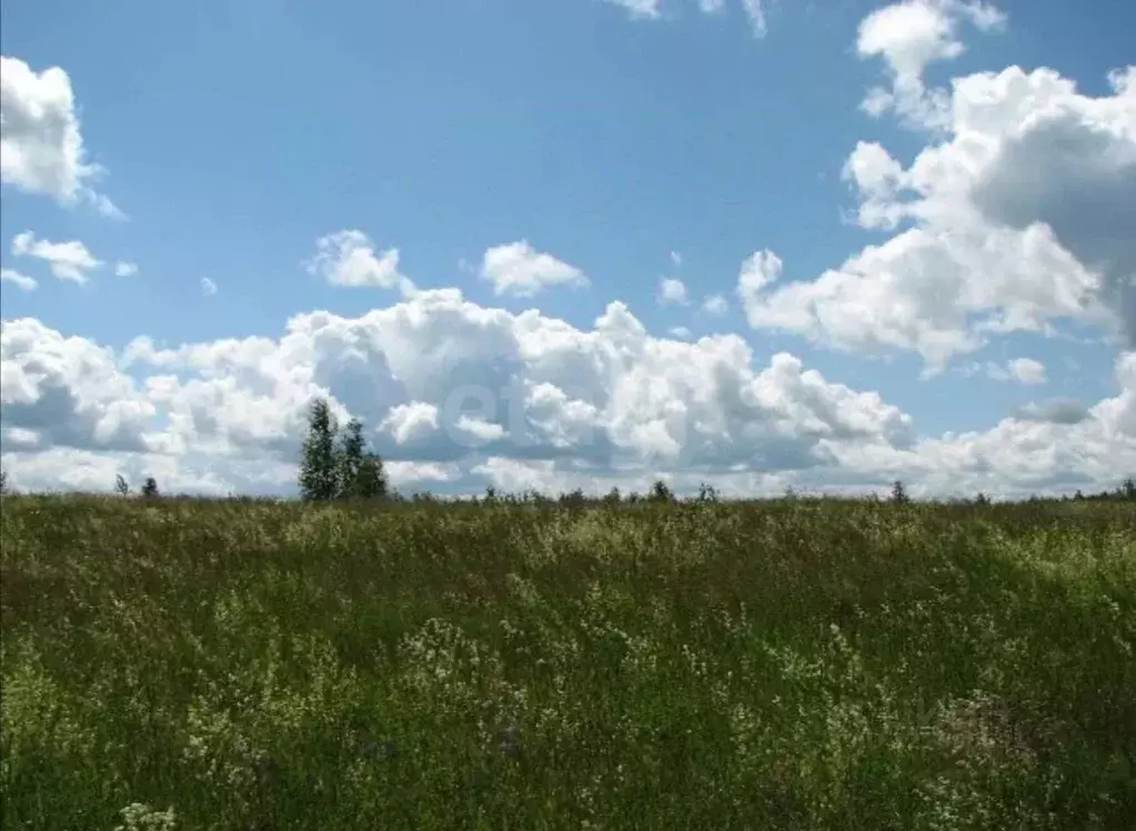 Участок в Калужская область, Калуга Московская ул. (12681.91 сот.) - Фото 2