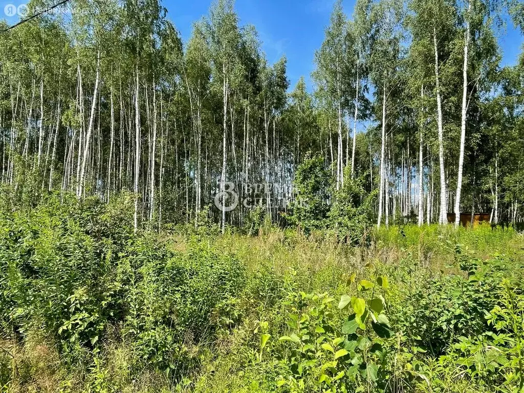 Участок в Владимир, 2-я Сорокинская улица, 23 (10.63 м) - Фото 1