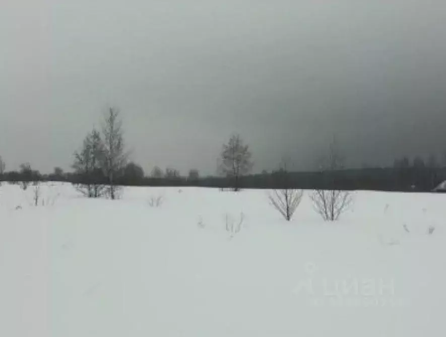 Участок в Московская область, Дмитровский муниципальный округ, д. ... - Фото 1