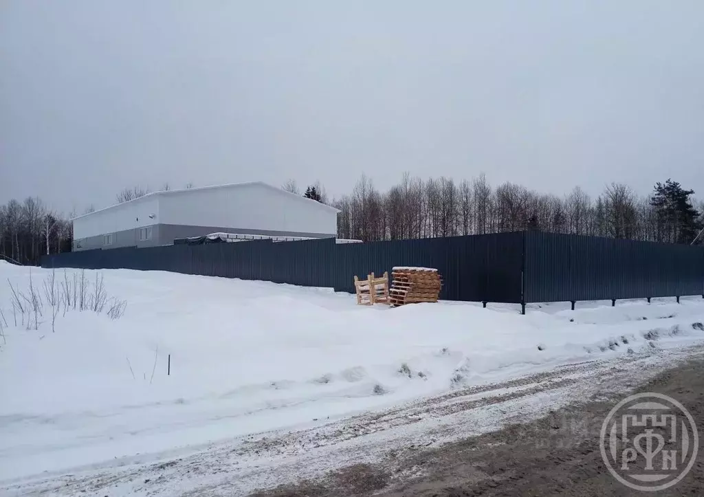 Участок в Ленинградская область, Всеволожский район, Агалатовское ... - Фото 2