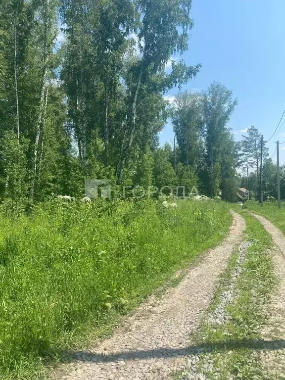 Участок в Новосибирская область, Новосибирский район, Барышевский ... - Фото 0
