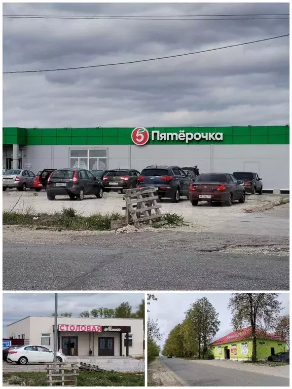 Участок 12,5 сот. (СНТ, ДНП) - Фото 0