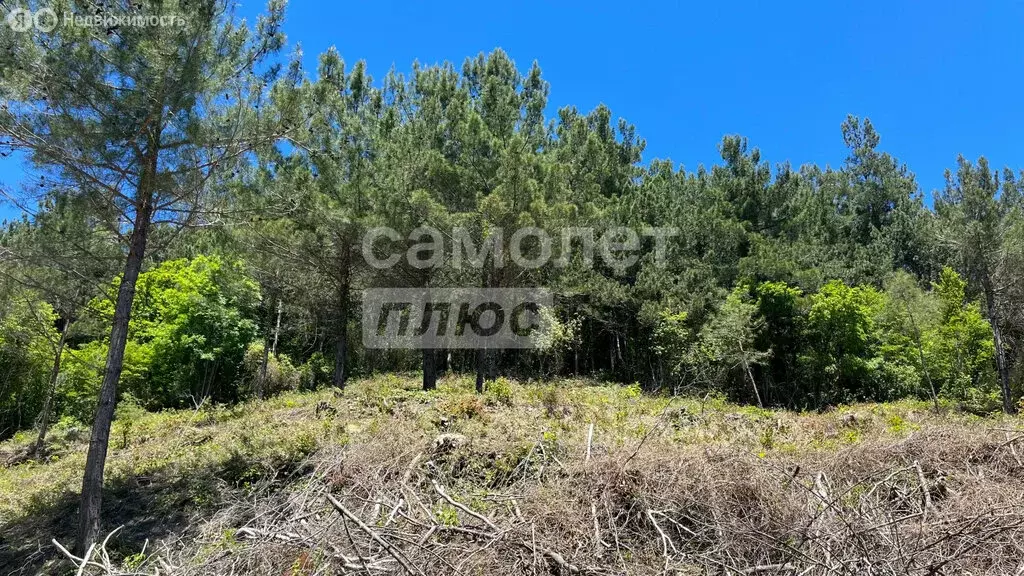 Участок в село Ольгинка, 3-й микрорайон, 23 (10 м) - Фото 0