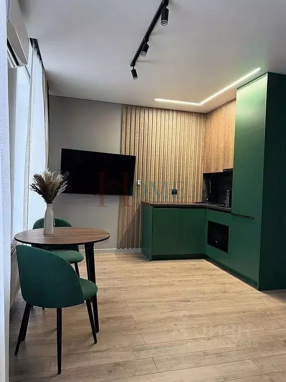 Студия Новосибирская область, Новосибирск ул. Гоголя, 222 (33.0 м) - Фото 1