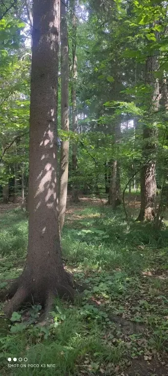 Участок в Московская область, Одинцовский городской округ, д. ... - Фото 2