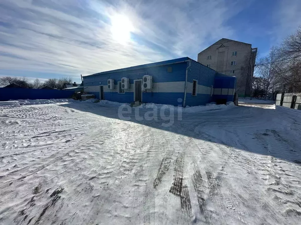 Торговая площадь в Амурская область, Благовещенск пос. Астрахановка, ... - Фото 2