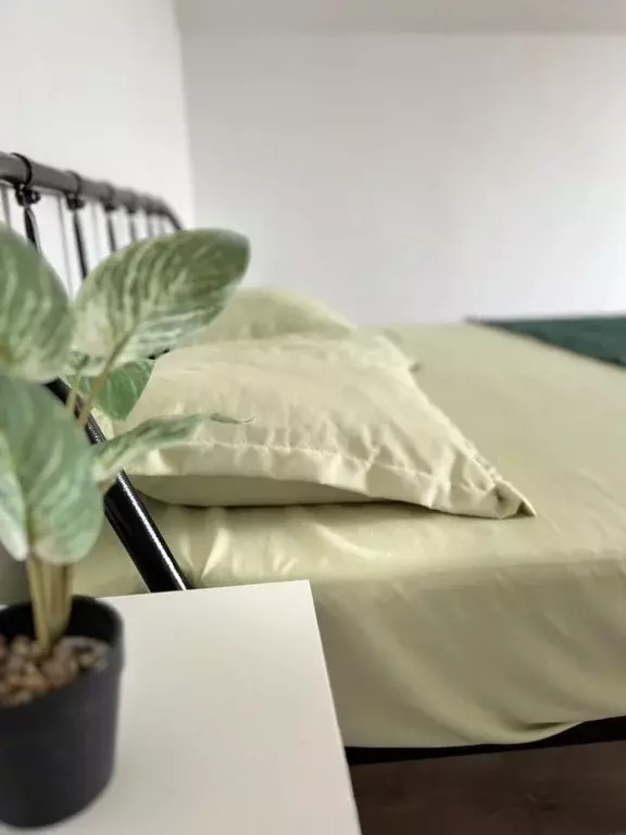 Дом в Краснодарский край, Сочи городской округ, с. Нижняя Шиловка ул. ... - Фото 2