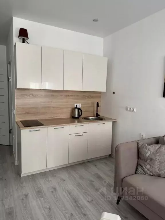 Студия Краснодарский край, Сочи ул. Яна Фабрициуса, 23лит6 (25.0 м) - Фото 1