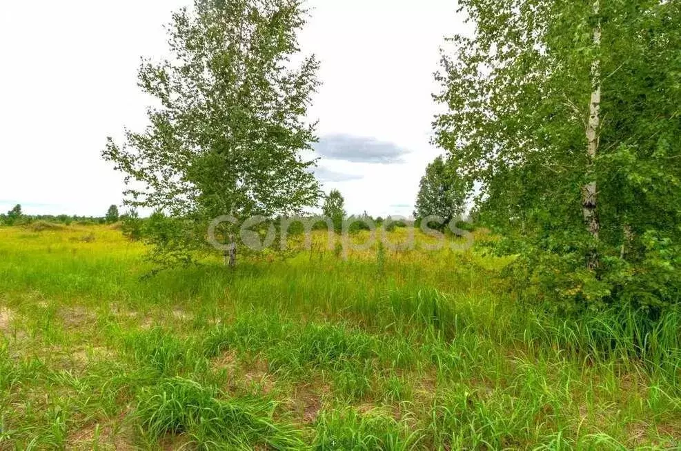 Участок в Нижнетавдинский район, садоводческое некоммерческое ... - Фото 0