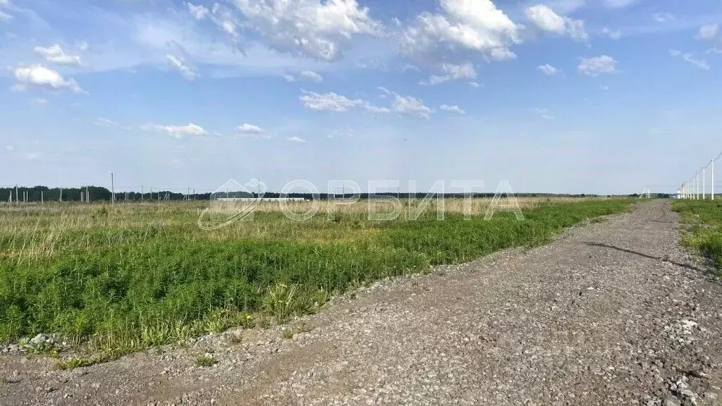 Участок в Тюменская область, Тюменский район, д. Малиновка ул. ... - Фото 1