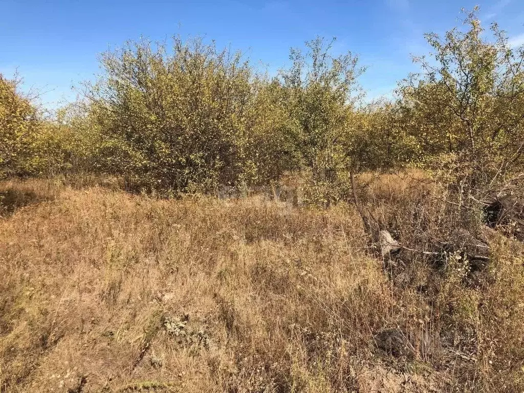 Участок в Белгородская область, Белгородский район, Дубовское с/пос, ... - Фото 1