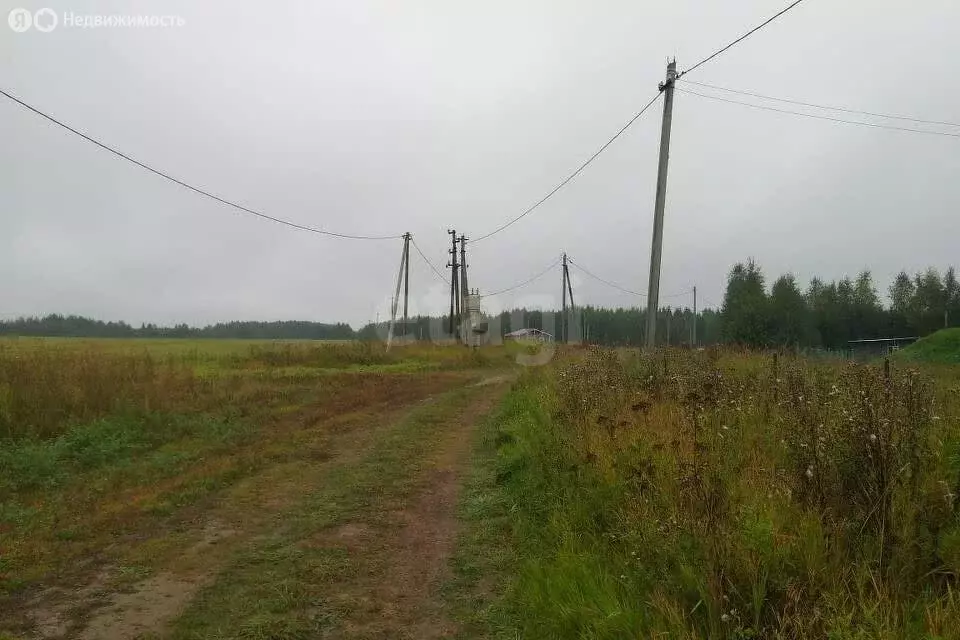 Участок в Вологодский муниципальный округ, деревня Карцево (10 м) - Фото 0