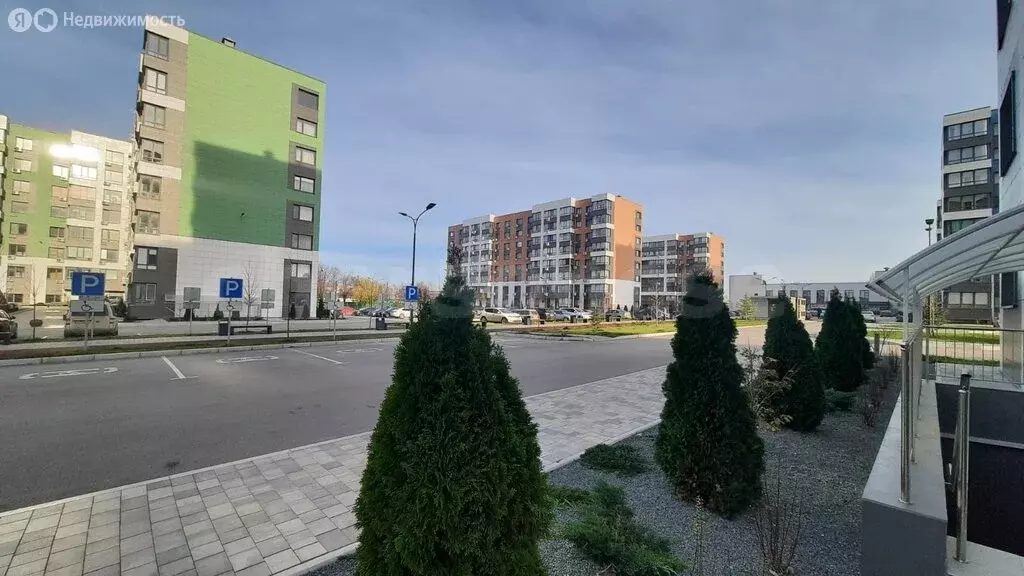 Помещение свободного назначения (13 м) - Фото 0