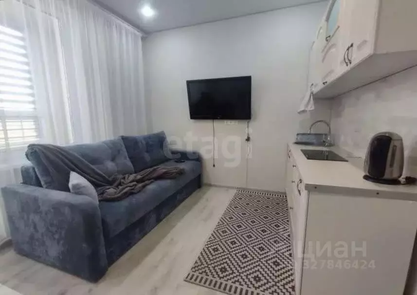 Студия Тюменская область, Тюменский муниципальный округ, д. Дударева ... - Фото 2