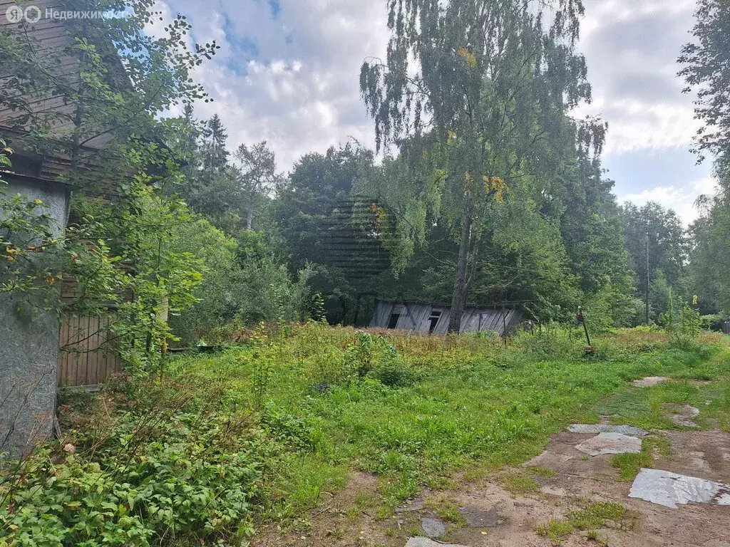 Участок в Зеленогорск, улица Восстания, 22 (15 м) - Фото 1