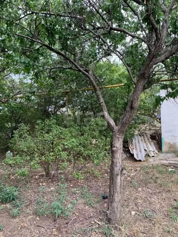 Дом в Крым, Черноморское пгт, Геолог СНТ 71 (57 м) - Фото 2