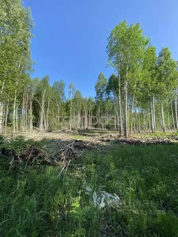 Участок в Тюменская область, Нижнетавдинский район, Строитель ТСН 786 ... - Фото 0