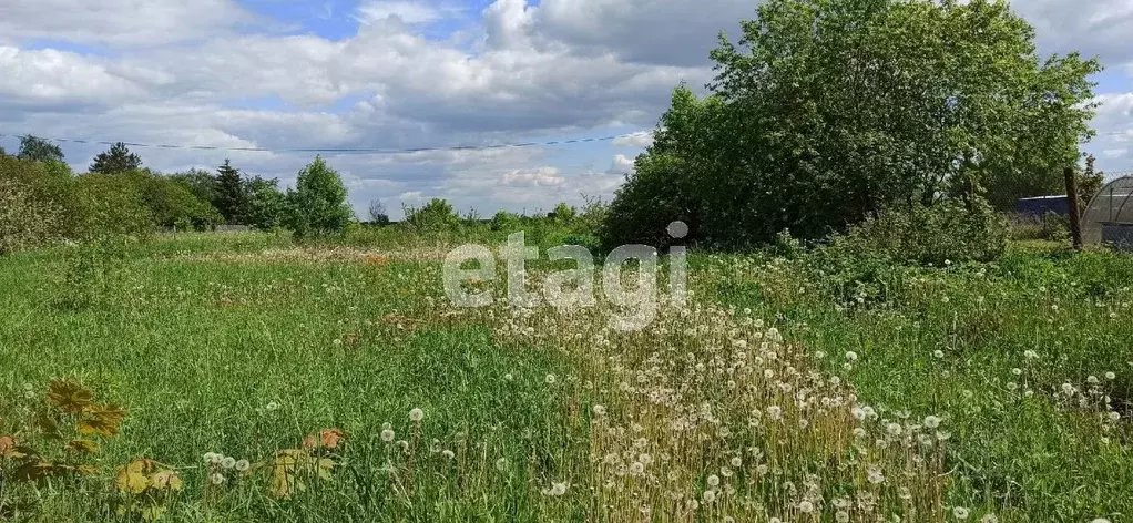 Участок в Псковская область, Псковский район, д. Звенковичи  (5.1 ... - Фото 0