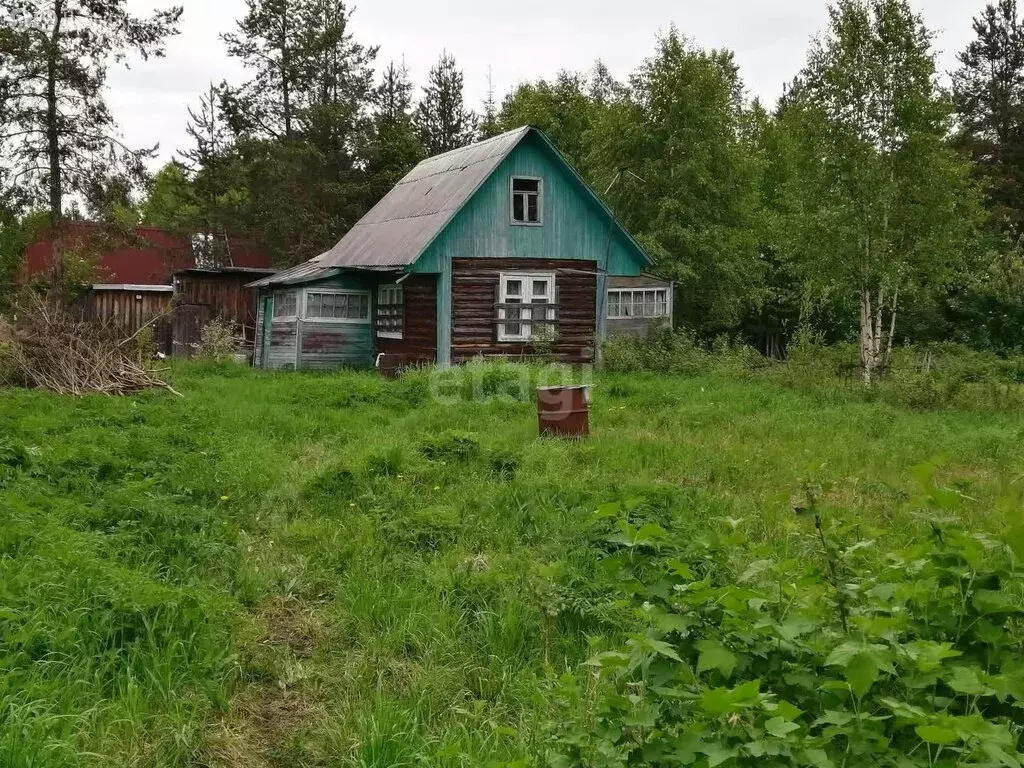 Дом в Архангельск, садовое товарищество Чайка (40 м) - Фото 0