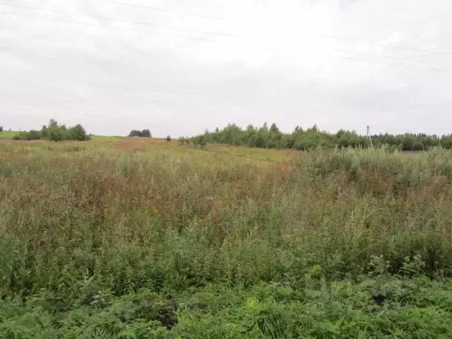 Участок в Владимирская область, Александровский район, д. Недюревка  ... - Фото 1