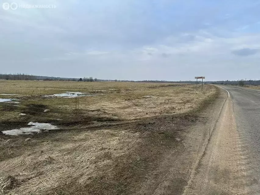 Участок в Волосовский район, Большеврудское сельское поселение, ... - Фото 1