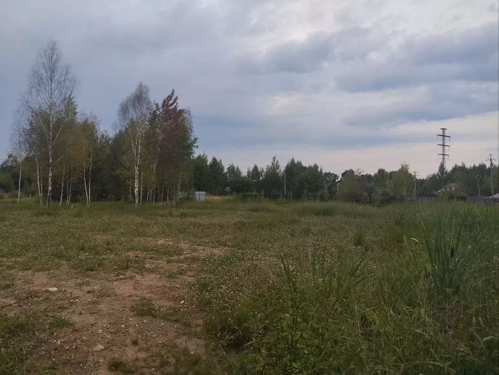 Участок в Московская область, Рузский муниципальный округ, пос. ... - Фото 2