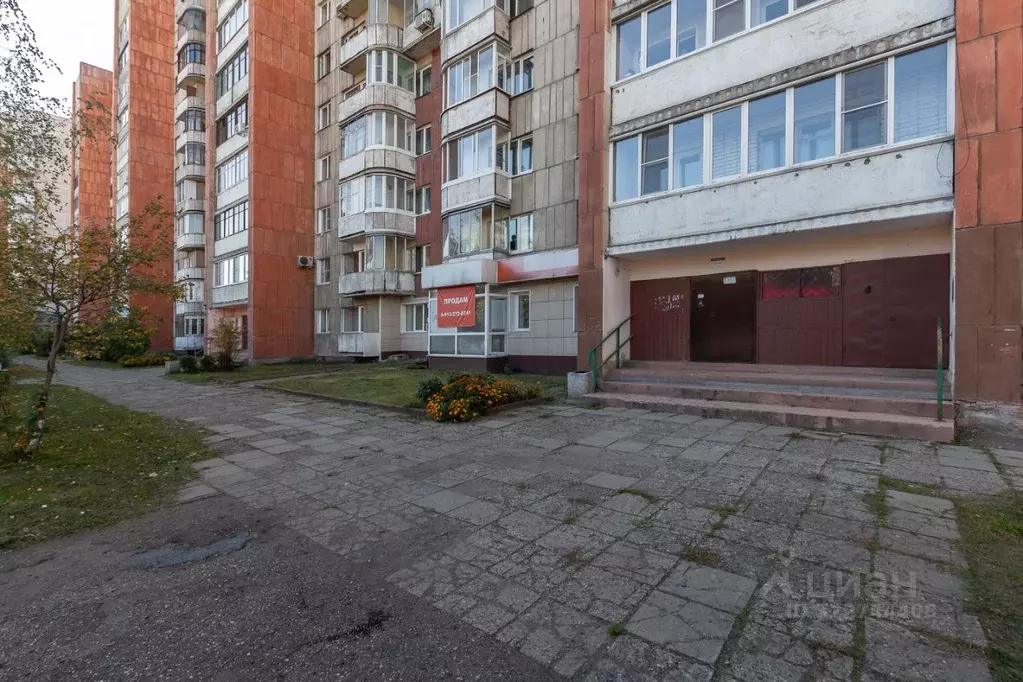 2-к кв. Алтайский край, Барнаул Красноармейский просп., 103 (51.0 м) - Фото 2