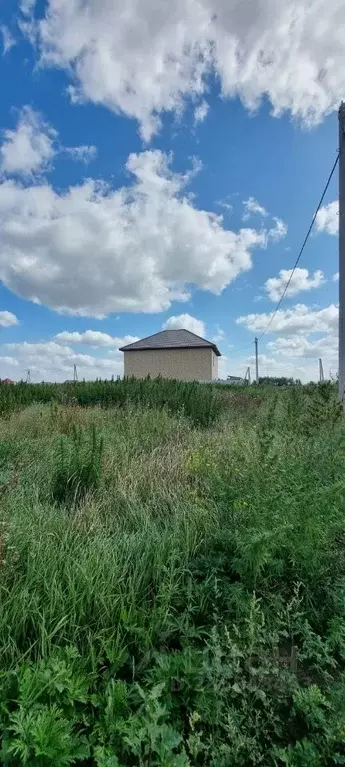 Участок в Омская область, Омский район, с. Ребровка Центральная ул. ... - Фото 1