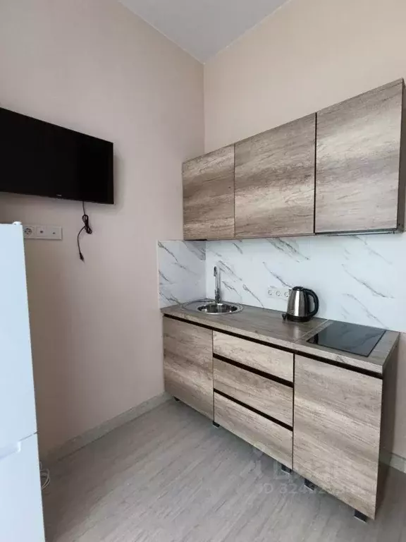 Студия Краснодарский край, Сочи Яна Фабрициуса мкр, ул. Метелева (24.0 ... - Фото 2