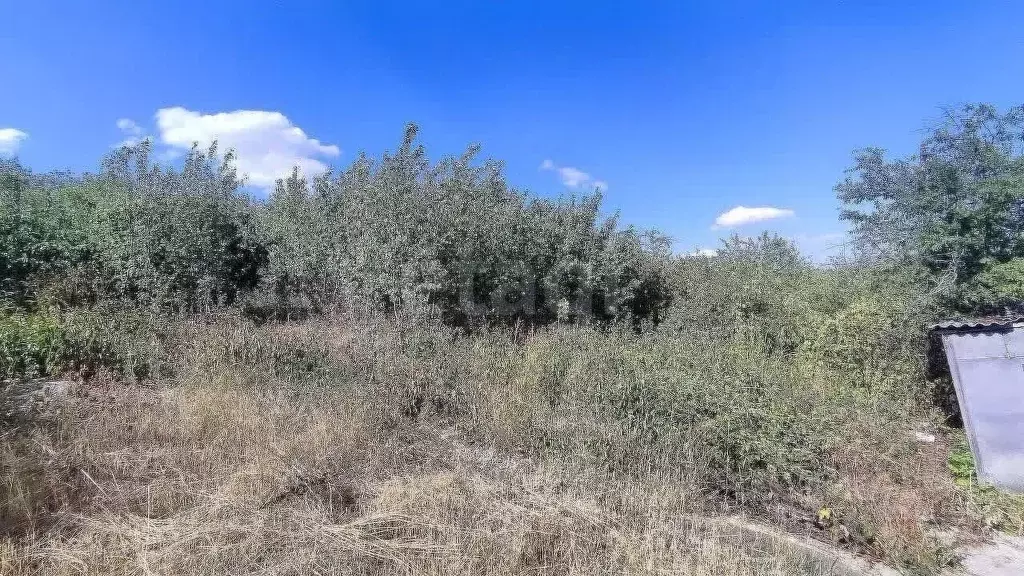 Участок в Ставропольский край, Ставрополь Зеленый Яр садовое ... - Фото 1