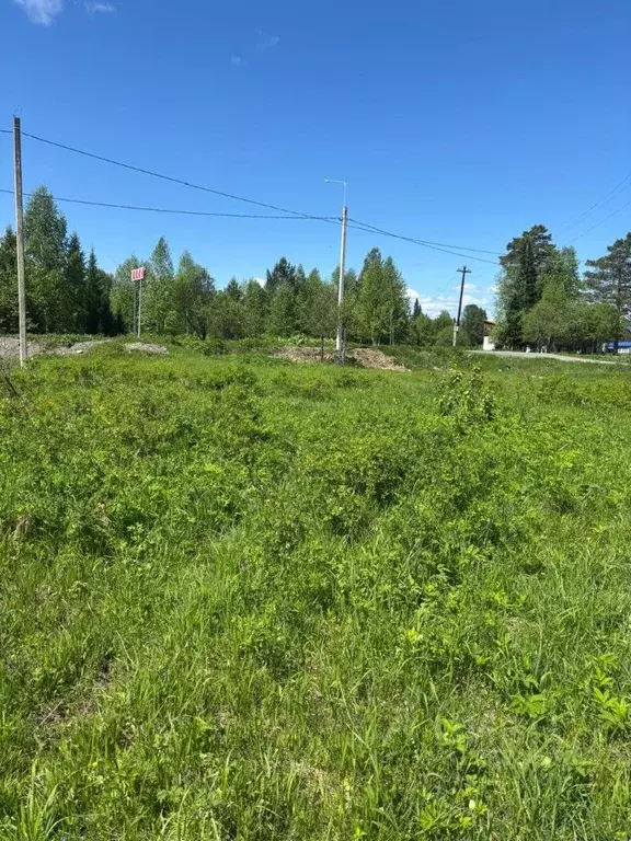 Участок в Алтай, Турочакский район, с. Дмитриевка  (25.0 сот.) - Фото 1