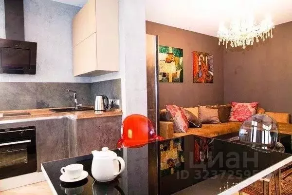 2-к кв. Краснодарский край, Сочи Виноградная ул., 2/3 (58.0 м) - Фото 2