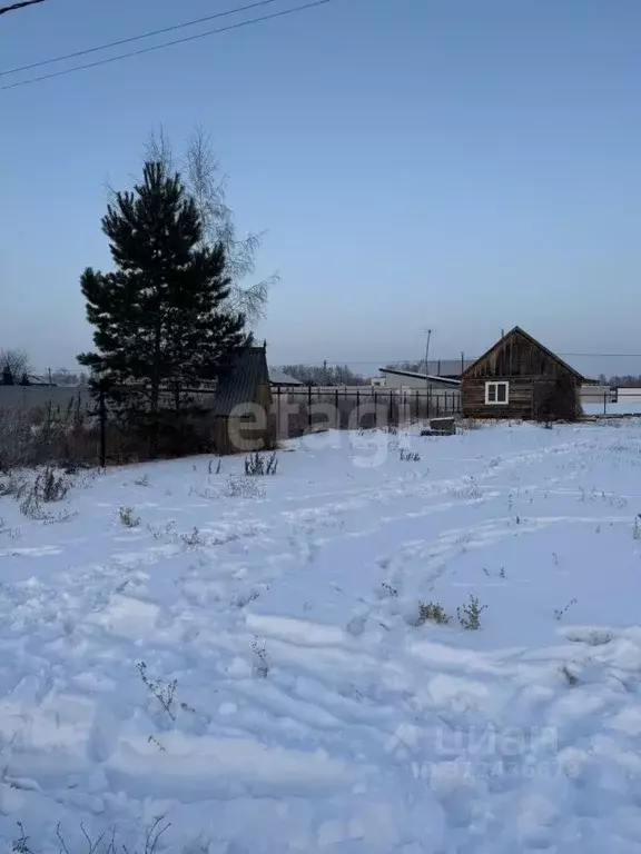 Дом в Новосибирская область, Новосибирский район, с. Боровое ул. ... - Фото 0