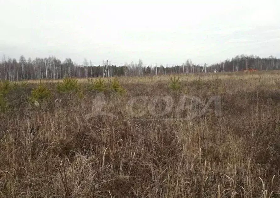 Участок в Тюменская область, Нижнетавдинский район, Журавли ДНП  (9.3 ... - Фото 0