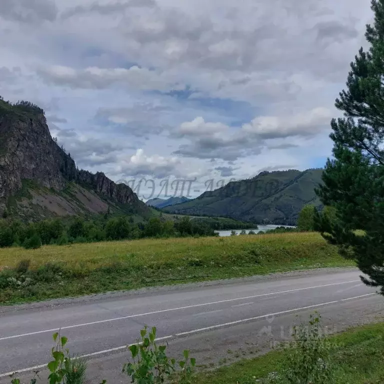 Участок в Алтай, Чемальский район, с. Чемал  (170.0 сот.) - Фото 1