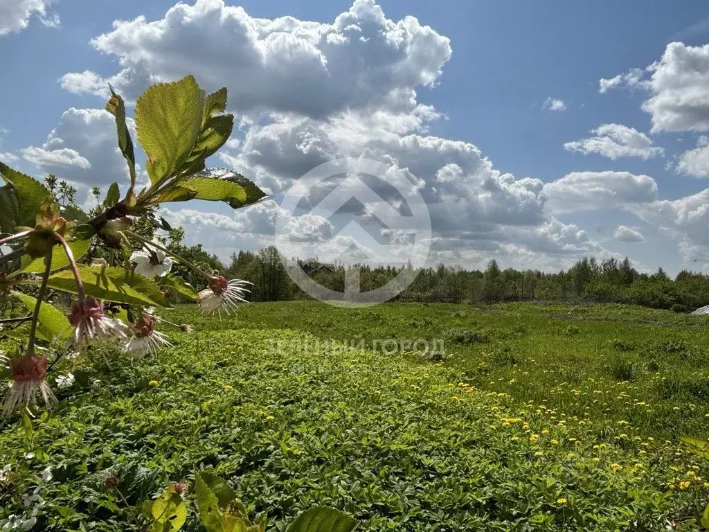 Участок в Московская область, Клин городской округ, д. Колосово  (30.0 ... - Фото 0