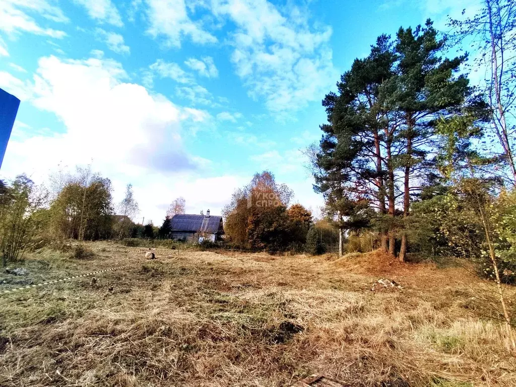 Участок в Ленинградская область, Ломоносовский район, Большая Ижора ... - Фото 2