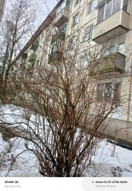 2-к кв. Санкт-Петербург Северный просп., 91К5 (45.8 м) - Фото 2