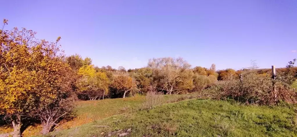 Участок в Крым, Кировский район, Первомайское с/пос, с. Изюмовка ул. ... - Фото 1