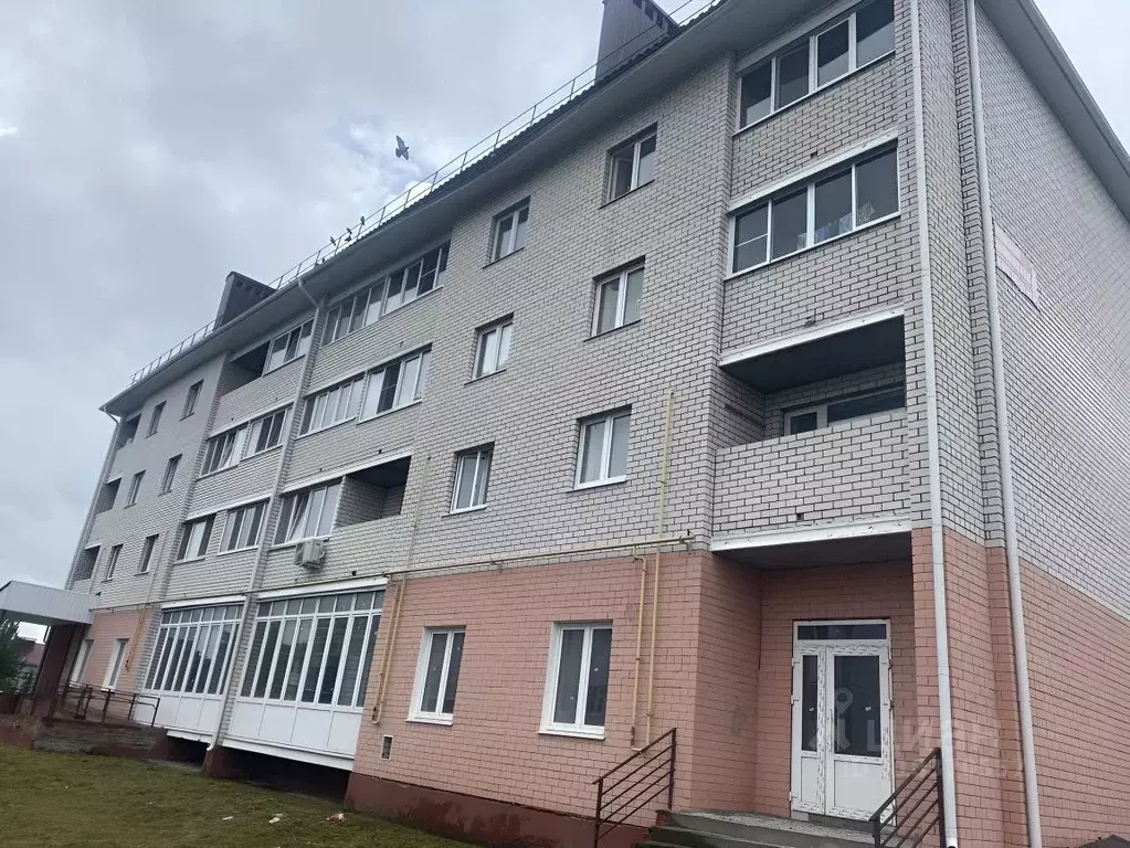 1-к кв. Брянская область, Дятьково ул. Усадьба РТС, 2А (34.1 м) - Фото 1
