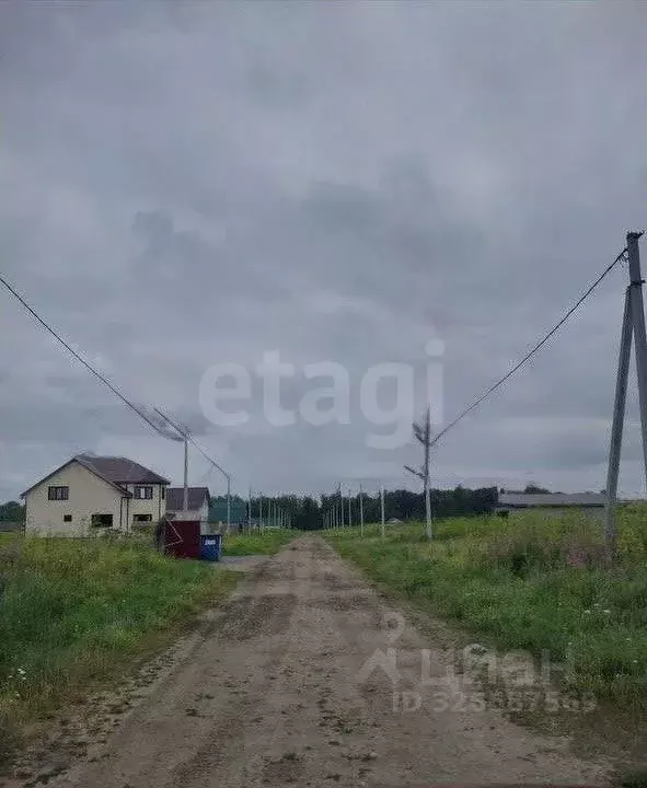 Участок в Тюменская область, Ялуторовский муниципальный округ, с. ... - Фото 1