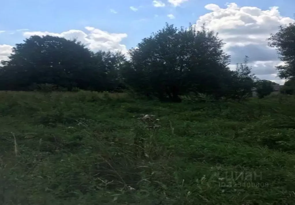 Участок в Московская область, Зарайск муниципальный округ, д. ... - Фото 1