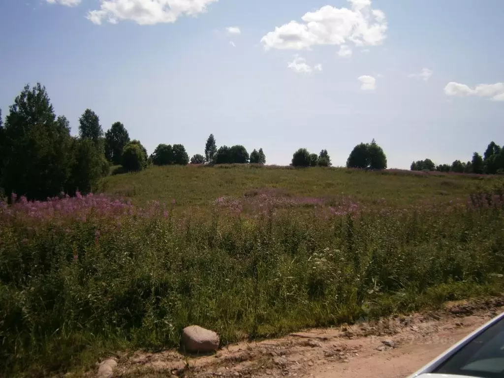 Участок в Новгородская область, Валдайский район, Короцкое с/пос, д. ... - Фото 2